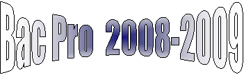 Bac Pro  2008-2009
