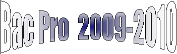 Bac Pro  2009-2010
